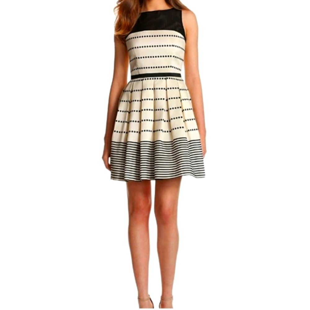 Taylor fit and flare polka dot and lines dress